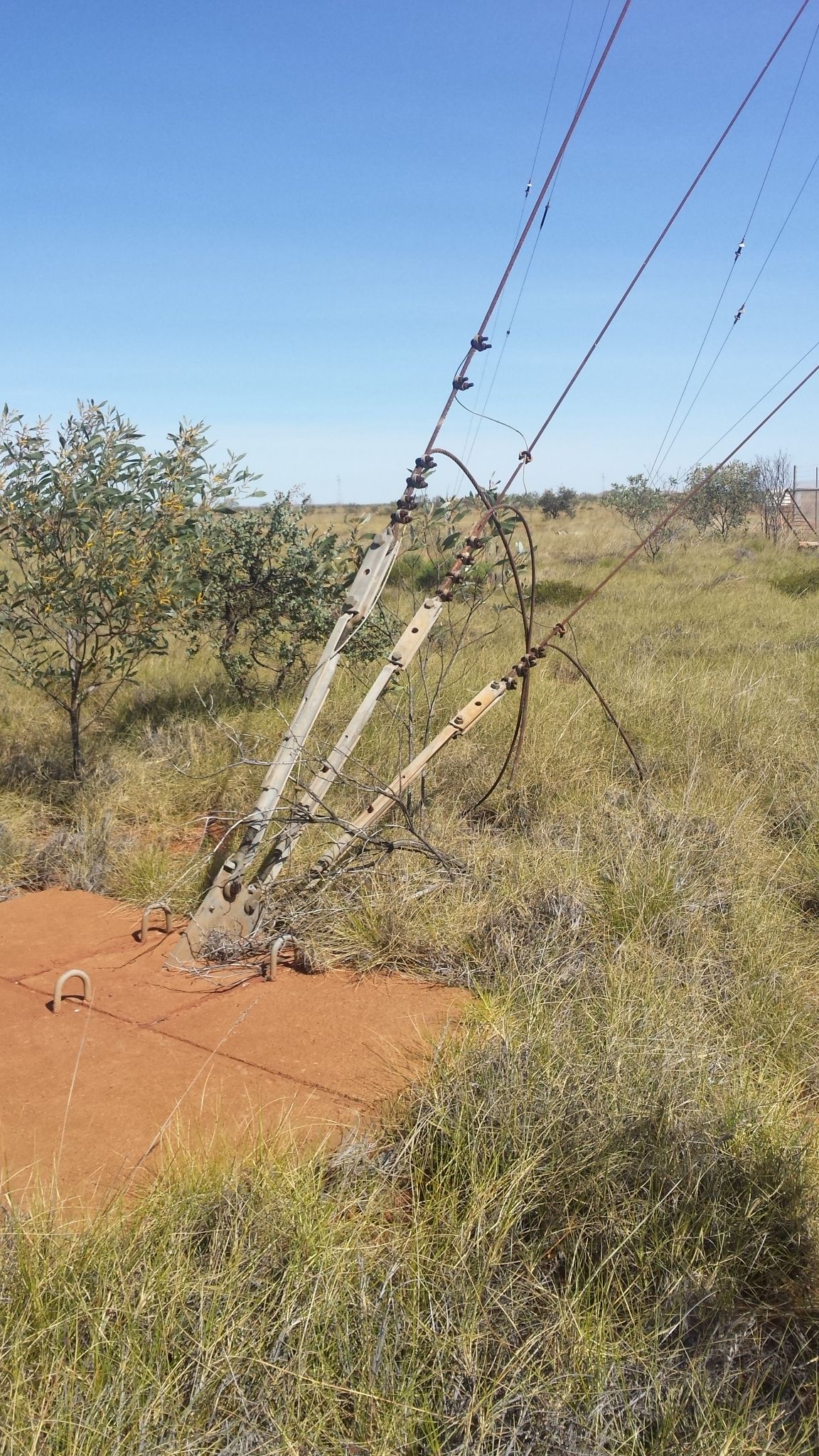 decca_australia_degrey_multiple_ guy_wires.jpg